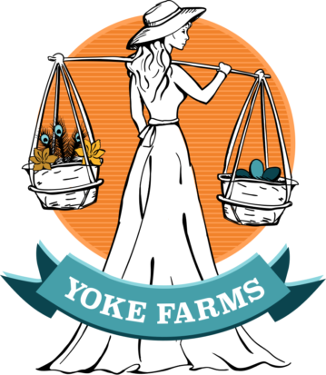 Yoke Farms.